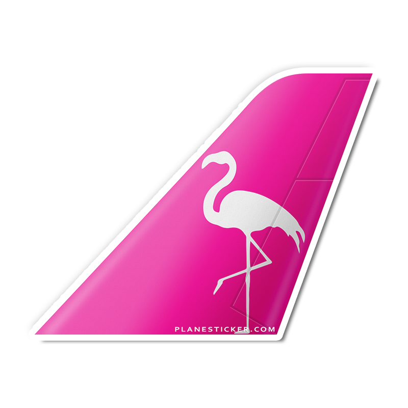 Silver Airways Tail