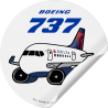 Delta Boeing 737