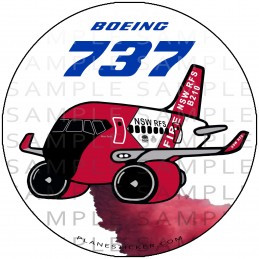 Coulson Aviation NSW RFS Boeing 737 Tanker B210