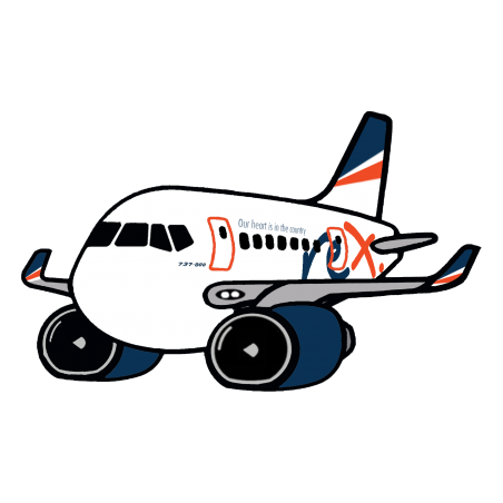 REX Boeing 737 Magnet