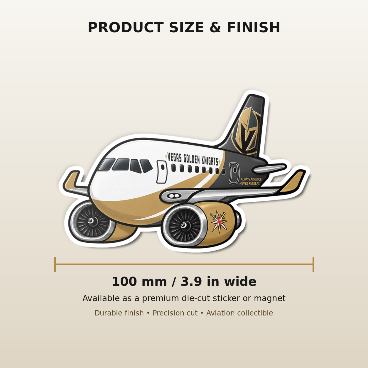 KaiserAir Boeing 737 Vegas Golden Knights