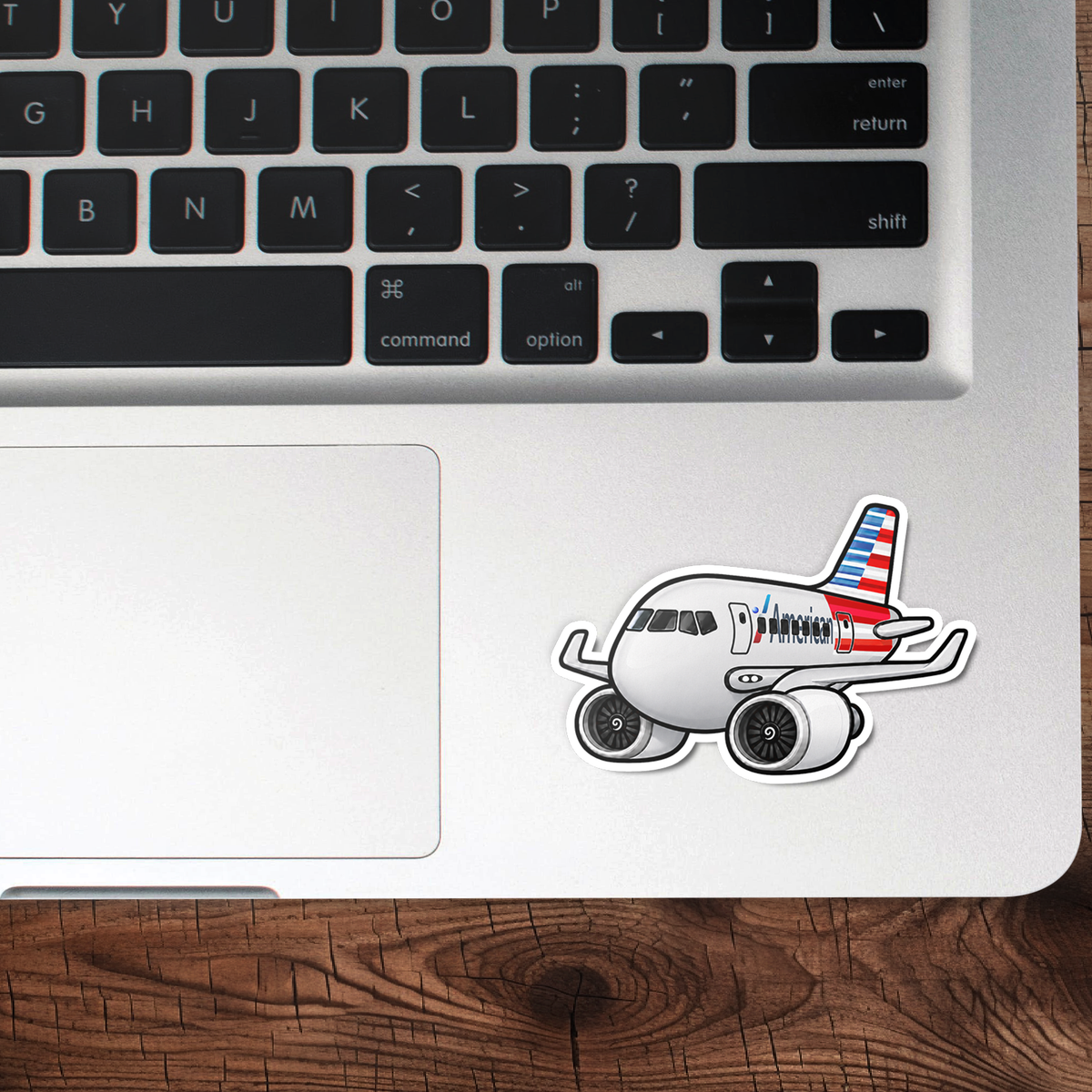 American Airlines Boeing 737