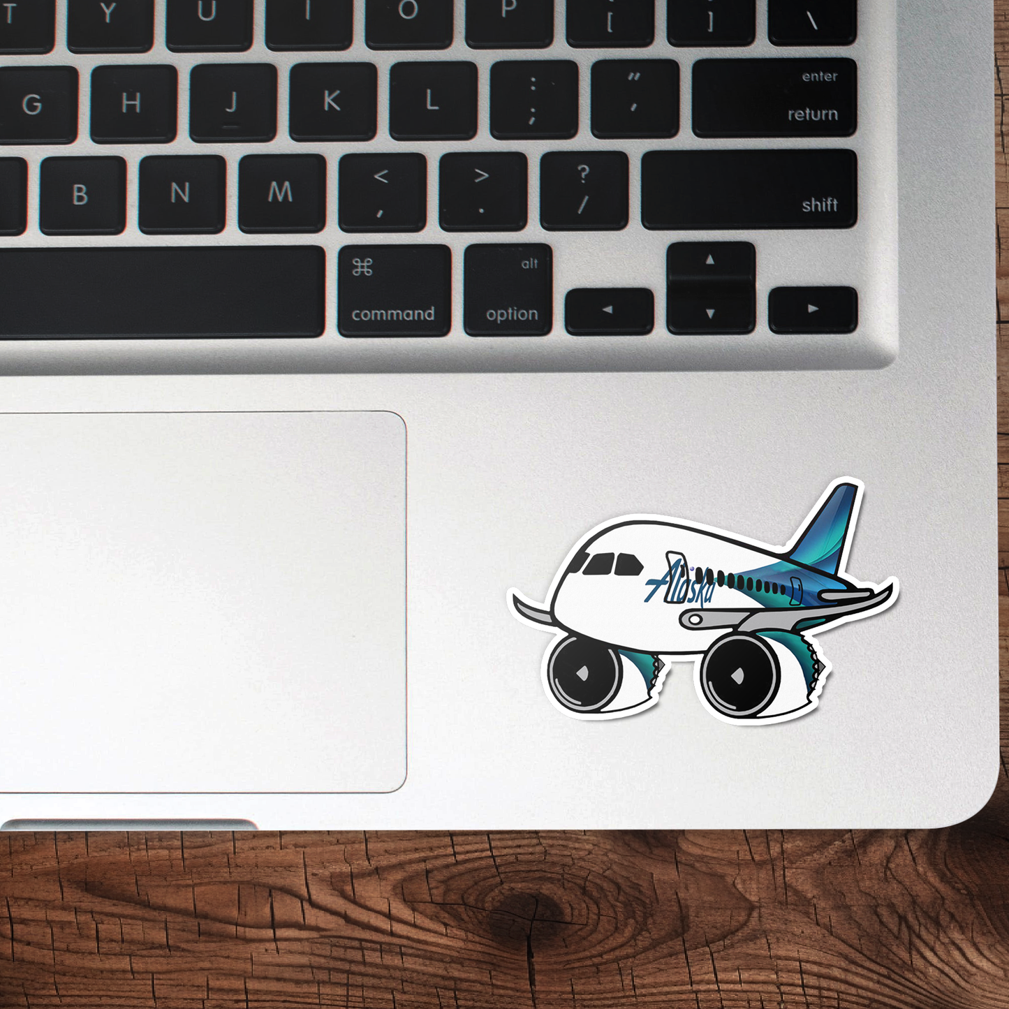 Alaska Airlines Boeing 787