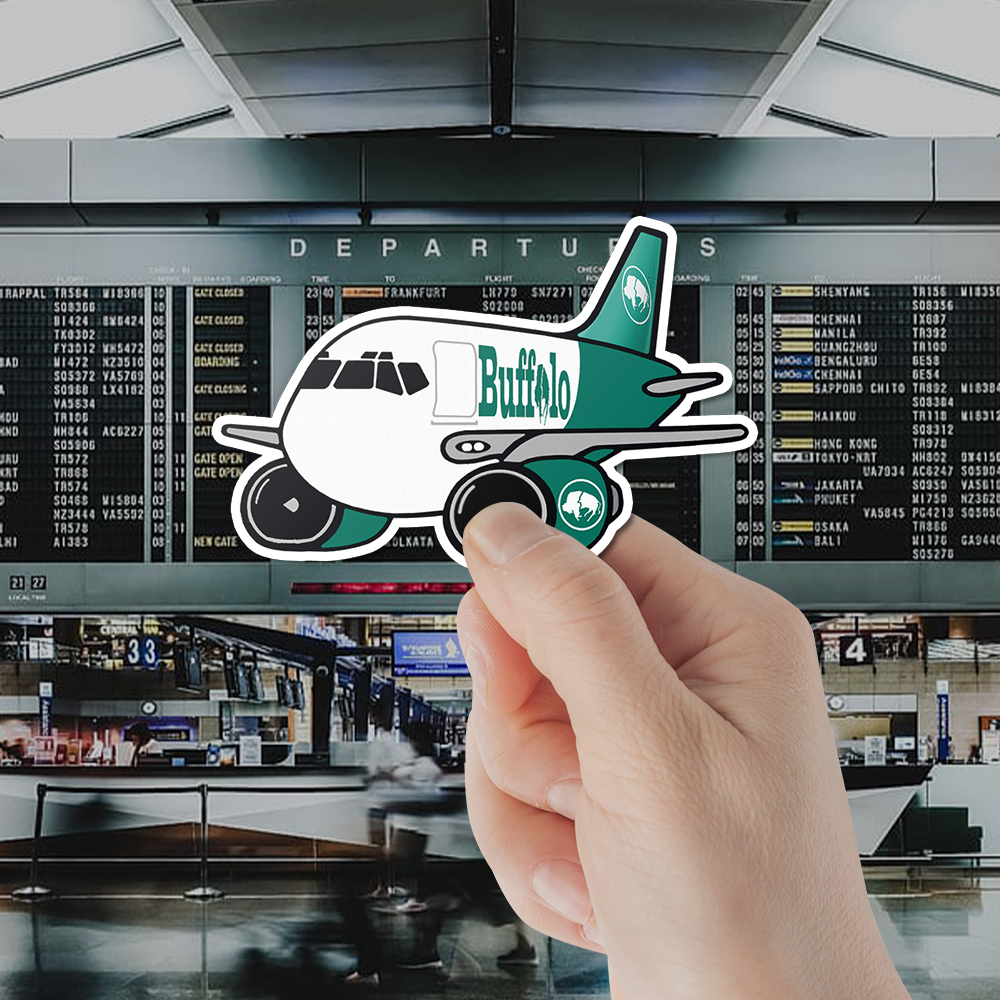 Buffalo Airways Boeing 737F