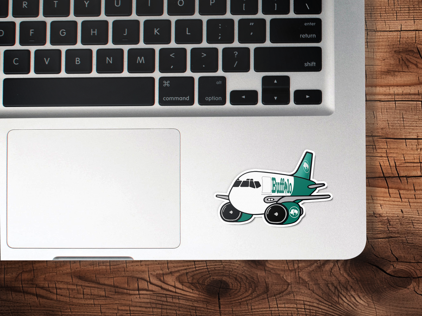 Buffalo Airways Boeing 737F