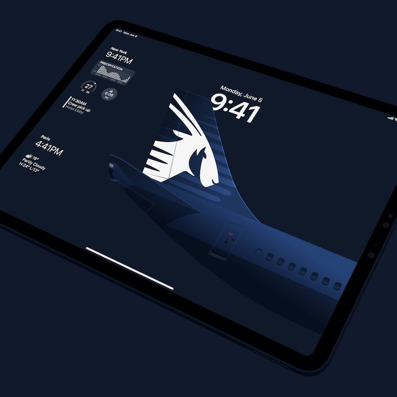 Qatar Airways iPad Wallpaper – Plane Sticker